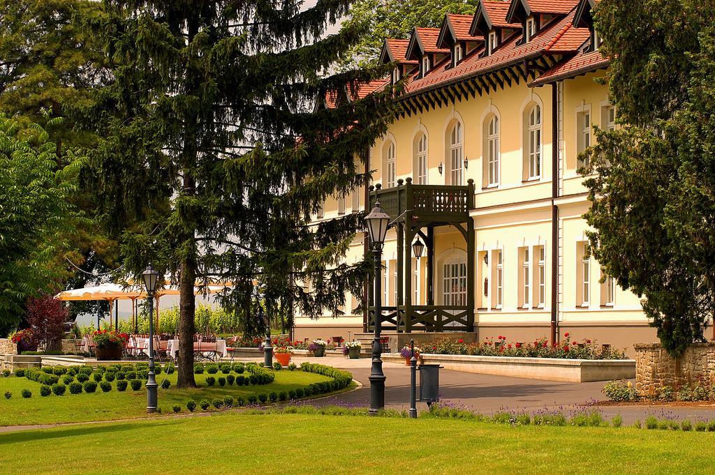Castle Hotel Grof Degenfeld Superior Tarcal Exteriör bild